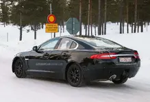 jag-mule-7.webp