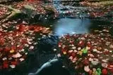 76383f51a2fe15ac617cea80bc962625.webp