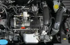 015f88c3ad831f0ed9f19afd551ed183.webp