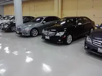 f8d565b52461a8f3d004200169a1330f.webp
