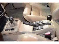 image.webp image.webp