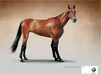d110065e8c142d83f4bb1e77bf114817.webp