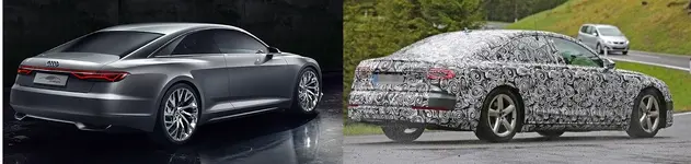 rear comparison.webp