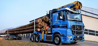 timber-arocs 3.webp