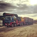 timber-arocs 4.webp