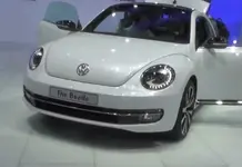 beetle.webp