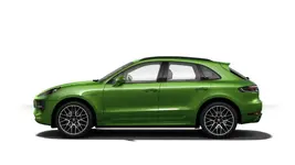 gts_green_3.webp