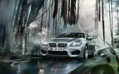 7.webp