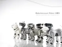Aibo.webp