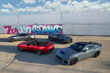 Mustang Family of Four.webp