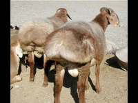 images (1).webp