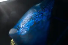 647316.jpg