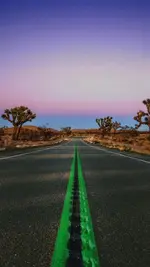368163067_815898403502517_7193033724873820024_n.webp