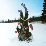 1702290983988.webp