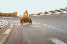 24c0006_001.webp
