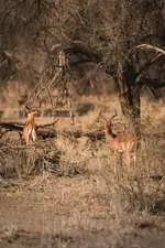 tional-gs-trophy-2024-namibia-day-6-09-2024-1000px.webp