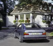 24c0333_009.webp
