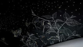 d-embroided-starlight-headliner-captures-mo-2666px.webp