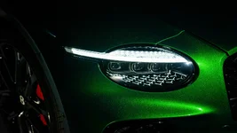 Black Forest Collection - 6.webp