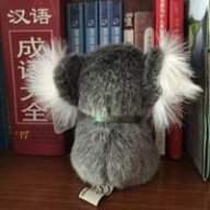 gaogao1