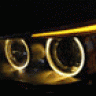 Ralfd