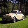 iluvbugs1970